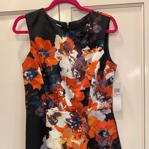 Maggie London fit and flare dress.  Never worn